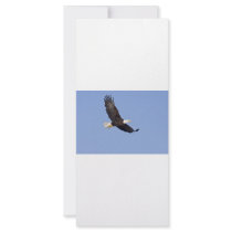 American Bald Eagle Custom Rack Cards
