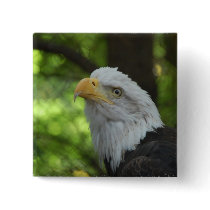 American Bald Eagle Square Pin