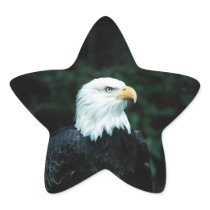 American Bald Eagle Star Sticker