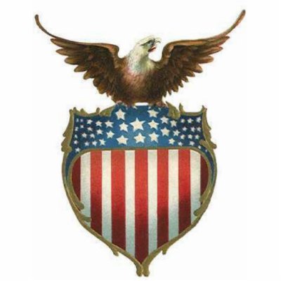 American Bald Eagle, stars & stripe atop of shield Photo Cutout by design_girl