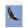 American Bald Eagle Personalized Stationery