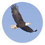 American Bald Eagle Sticker