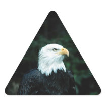 American Bald Eagle Triangle Sticker