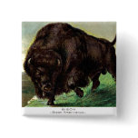 American Bison Pins
