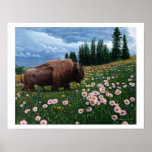 American Bison - "No Time For Flowers" Poster