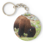 American Bison Painting Keychain