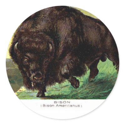 American Bison Stickers by mosswood