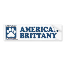 American Brittany Blue