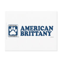 American Brittany Blue