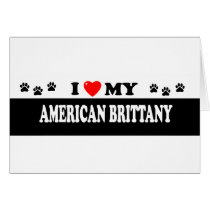 AMERICAN BRITTANY