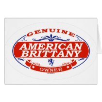 American Brittany