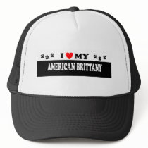 AMERICAN BRITTANY