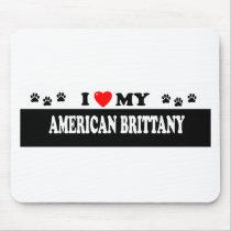 AMERICAN BRITTANY