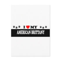 AMERICAN BRITTANY