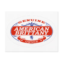 American Brittany