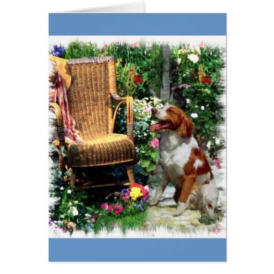 American Brittany Spaniel Art Gifts Greeting Cards by DogsByDezign