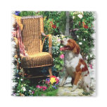 American Brittany Spaniel Art Gifts Fridge Magnets