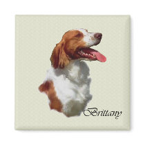 American Brittany Spaniel Gifts Refrigerator Magnets
