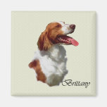 American Brittany Spaniel Gifts Refrigerator Magnets