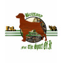 American Brittany Spaniel Gifts t-shirts