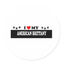 AMERICAN BRITTANY