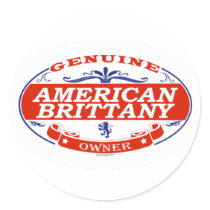 American Brittany