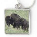 American Buffalo Key Chains