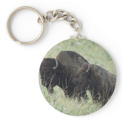 American Buffalo Key Chain by tonigl
