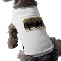 American Buffalo Pet Shirt