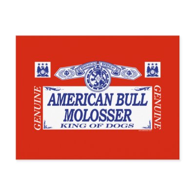 American Bull Molosser by dogbreedz