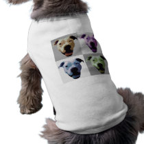American bulldog 2