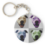 American bulldog 2