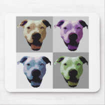 American bulldog 2