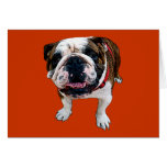 American Bulldog Card