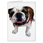 American Bulldog Greeting Card