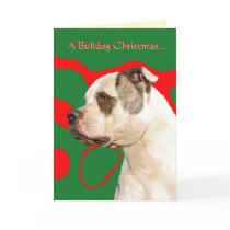 American Bulldog Cards