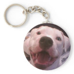 American bulldog keychain