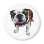 American Bulldog Magnet