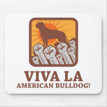 American Bulldog