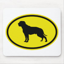 American Bulldog