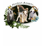 American Bulldog Perfect angels  3 t-shirts