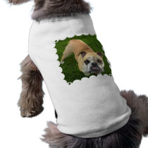 American Bulldog Pet Shirt