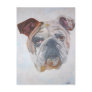American Bulldog Postcards