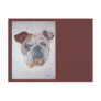 American Bulldog Postcards