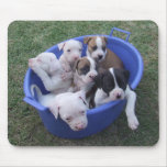 American Bulldog Puppies mousepads