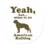 American Bulldog