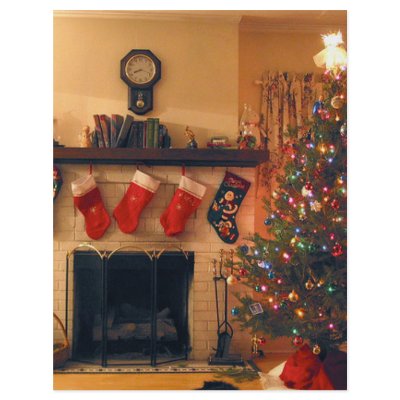 American Christmas Home Flyer by awesometees