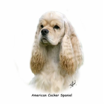 American Cocker Spaniel 9Y244D-035 Cut Out by TraffordPhotos