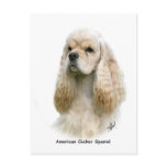 American Cocker Spaniel 9Y244D-035 Post Card