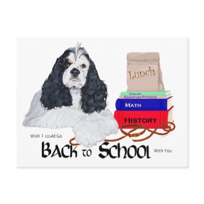 American Cocker Spaniel Back to School Postcard by MaggieRossDogs